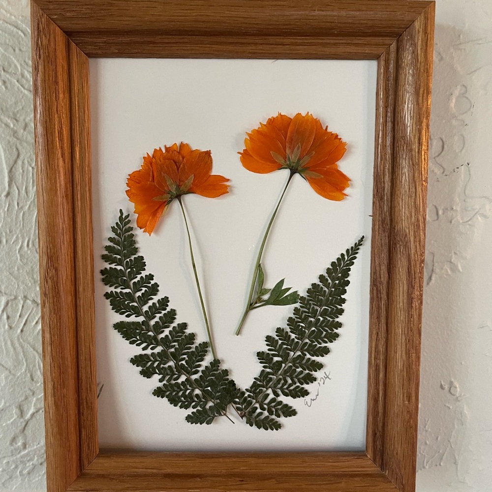 Dried Pressed Floral Wall Art. Orange Flowers with Green Fern. Wood frame.